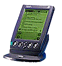 ein Palm IIIx im Cradle