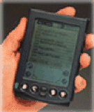 Der Palm pat wirklich in eine Hand